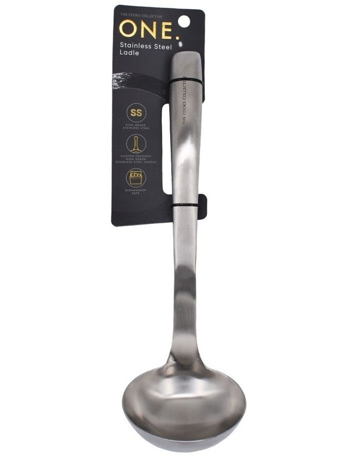 One Ladle in Stainless Steel