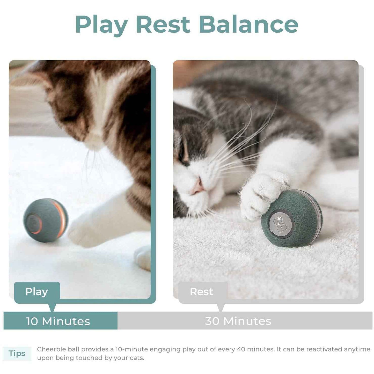 Cheerble M1 Mini Cat Ball (Green)