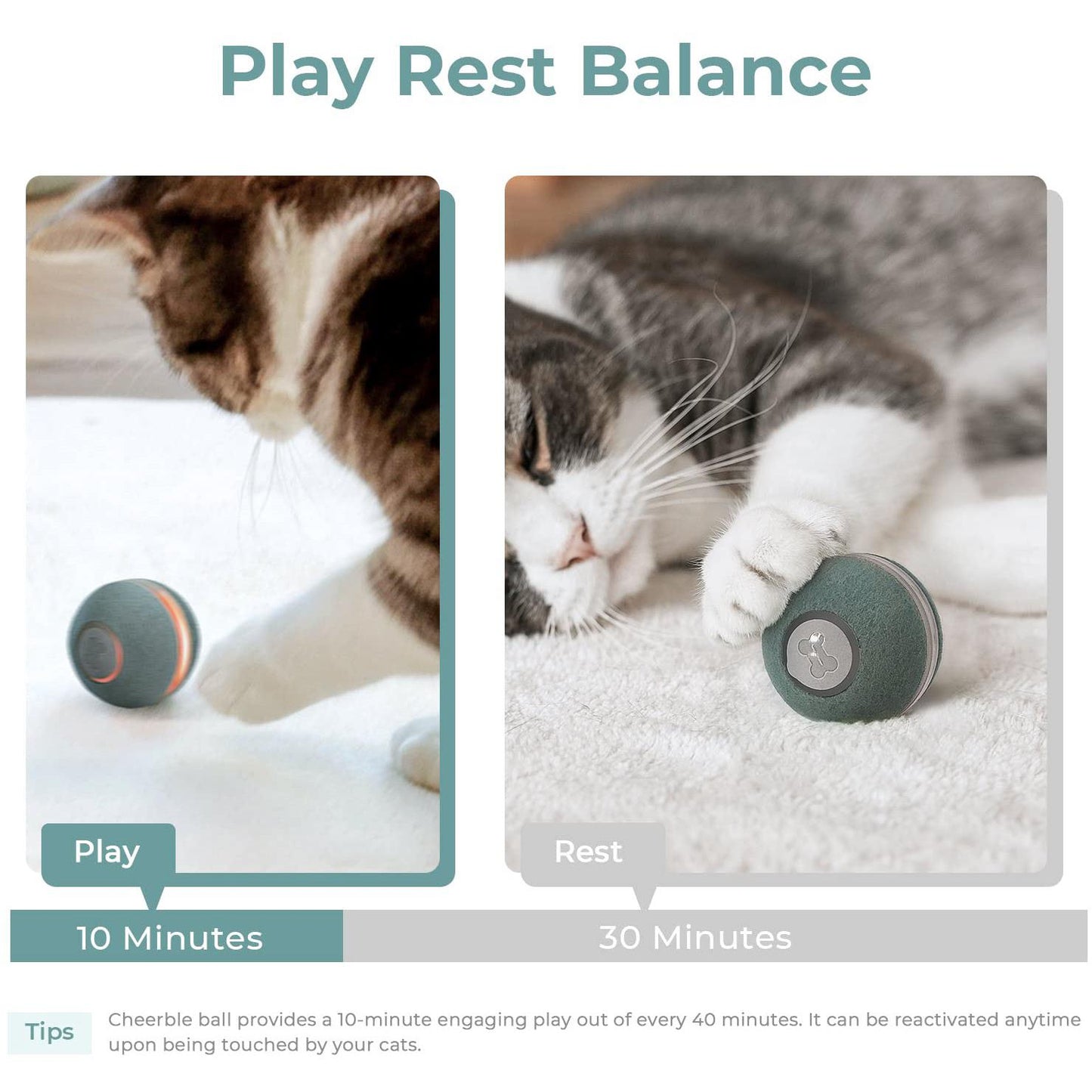 Cheerble M1 Mini Cat Ball (Green)