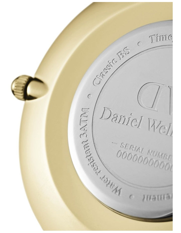 Petite 32 Evergold White Dial Stainless Steel Quartz Watch in Gold