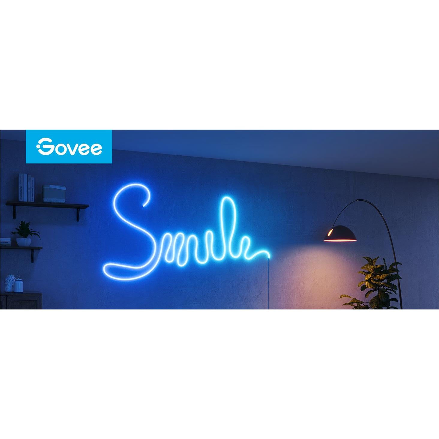 Govee Neon Rope Light 2S 4M