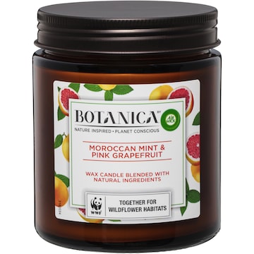 Botanica Moroccan Mint & Pink Grapefruit Candle 205g