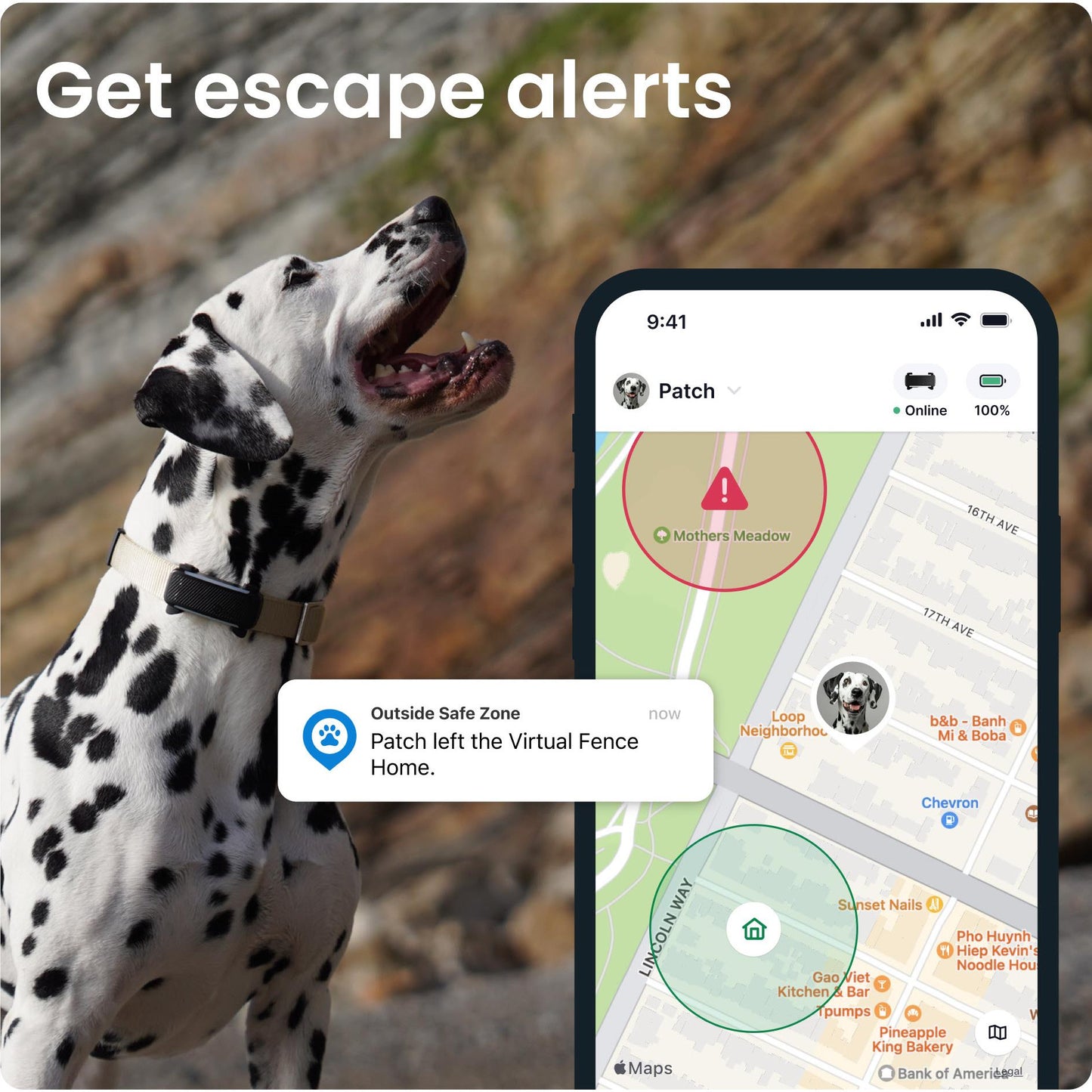 Tractive GPS Tracker Dog 6 (Black)