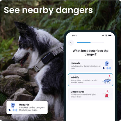 Tractive GPS Tracker Dog 6 (Black)