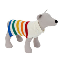Pet Rainbow Knit Jumper - Large