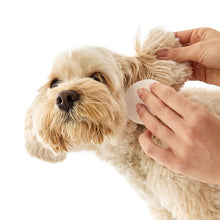 100 Pack Pet Ear & Eye Wipes