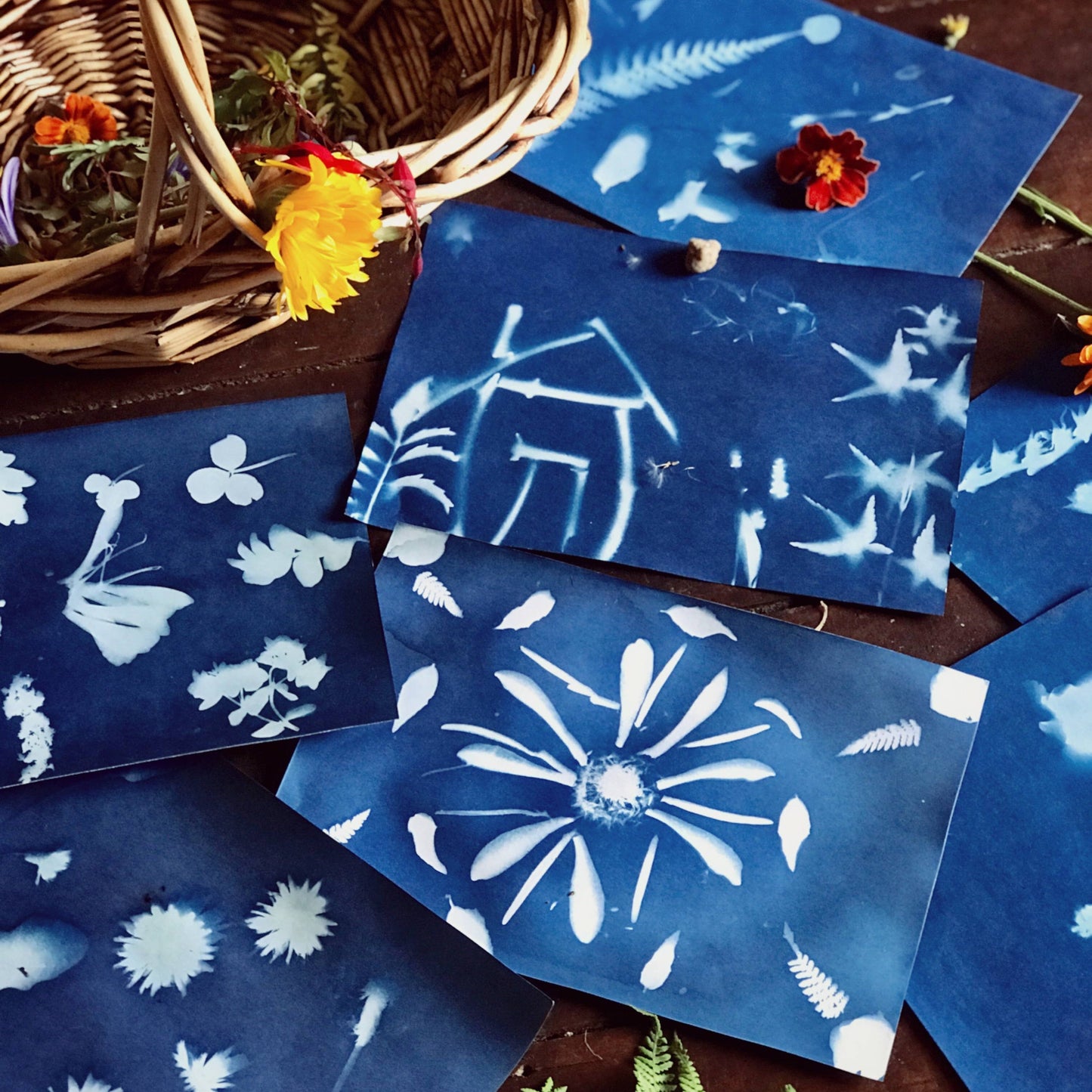 Our Earth Life Nature Print Kit Sun Printing Paper Nature Play Art and craft for kids 3yrs+