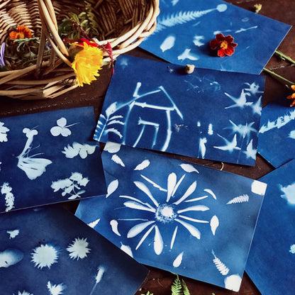 Our Earth Life Nature Print Kit Sun Printing Paper Nature Play Art and craft for kids 3yrs+