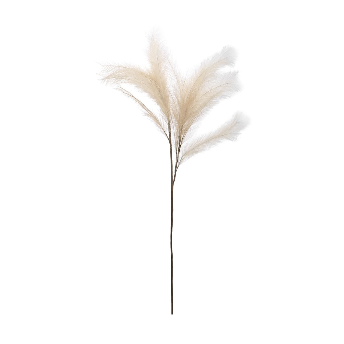 Artificial Pampas Grass Natural