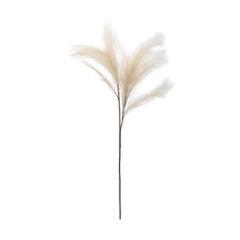 Artificial Pampas Grass Natural
