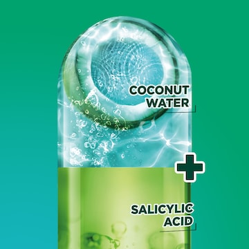 Garnier Fructis Coconut Water Shampoo 315mL