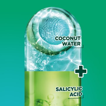 Garnier Fructis Coconut Water Shampoo 850mL