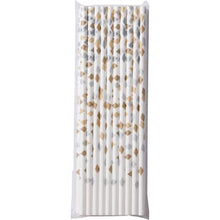 Armada Paper Straws Assorted 20 pack