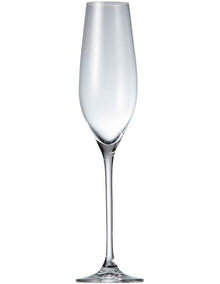 Cuvee Champagne Flute Set of 6 210ml in Clear
