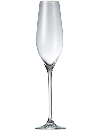 Cuvee Champagne Flute Set of 6 210ml in Clear