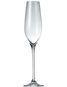 Cuvee Champagne Flute Set of 6 210ml in Clear