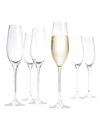 Cuvee Champagne Flute Set of 6 210ml in Clear