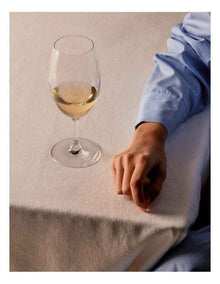 Everyday The Red Or White Wine Glass Set of 4 in Clear