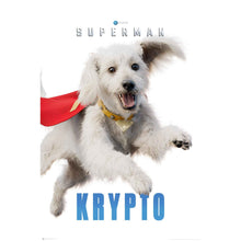 Superman - Kryptoc Poster