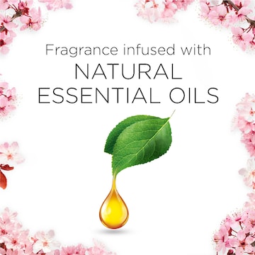 Air Wick Pure Cherry Blossom Plug-In Diffuser Refill 19mL x 2 pack