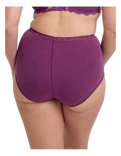 Maxi Brief 2 Pack in Purple