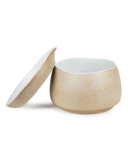 Garden To Table Small Self Watering in white