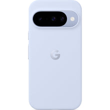 Google Pixelsnap Case for Pixel 10/10 Pro (Frost)