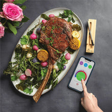 Meater Plus Meat Thermometer
