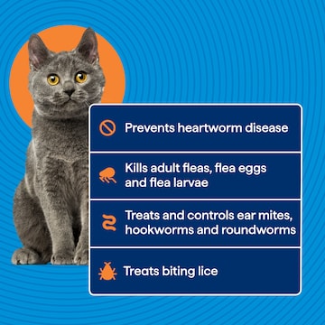Totalcare Heartwormer Allwormer & Flea Control For Cats each