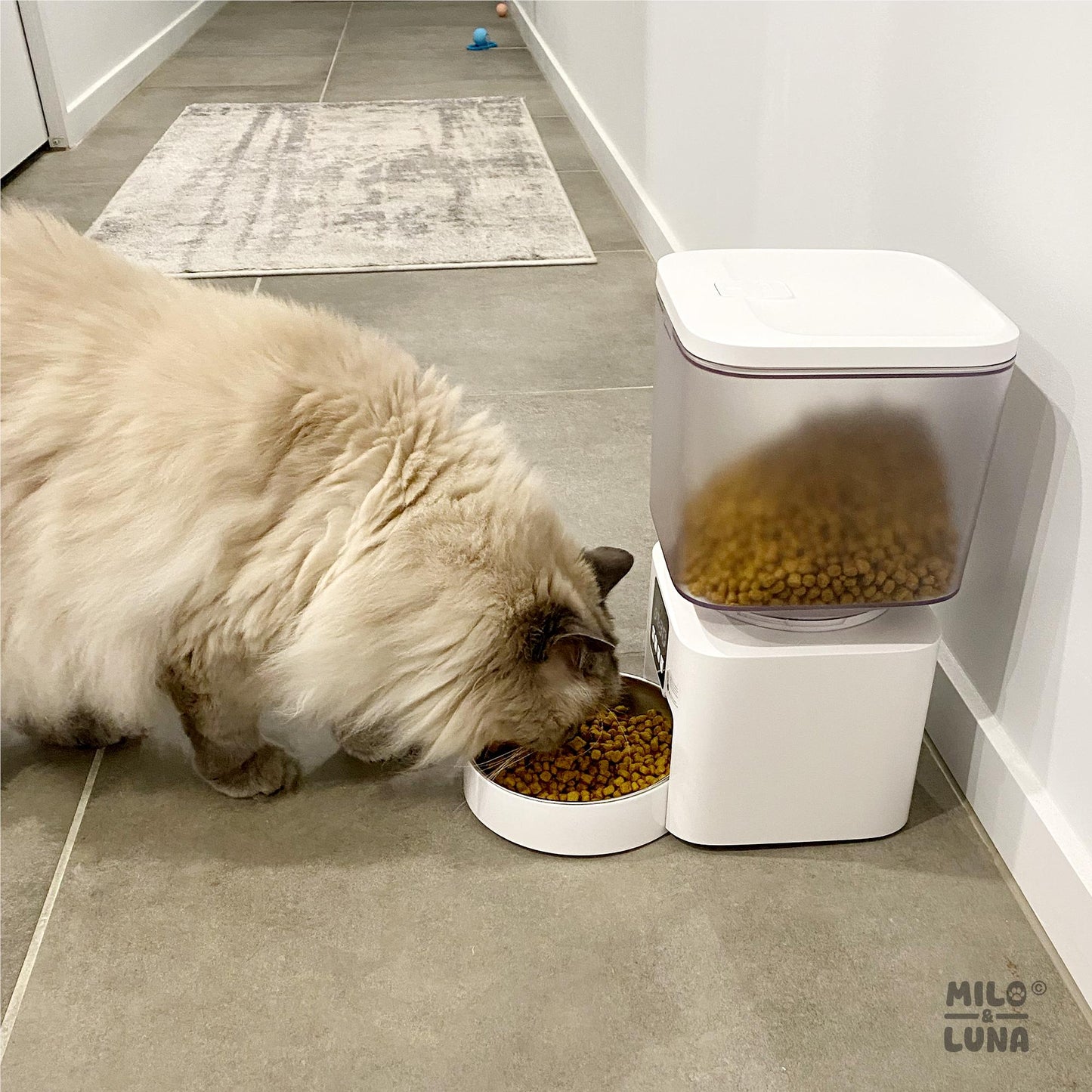 Milo & Luna Auto Pet Feeder 4.5L