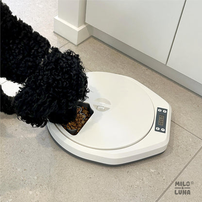 Milo &  Luna 5 Meal Auto Pet Feeder