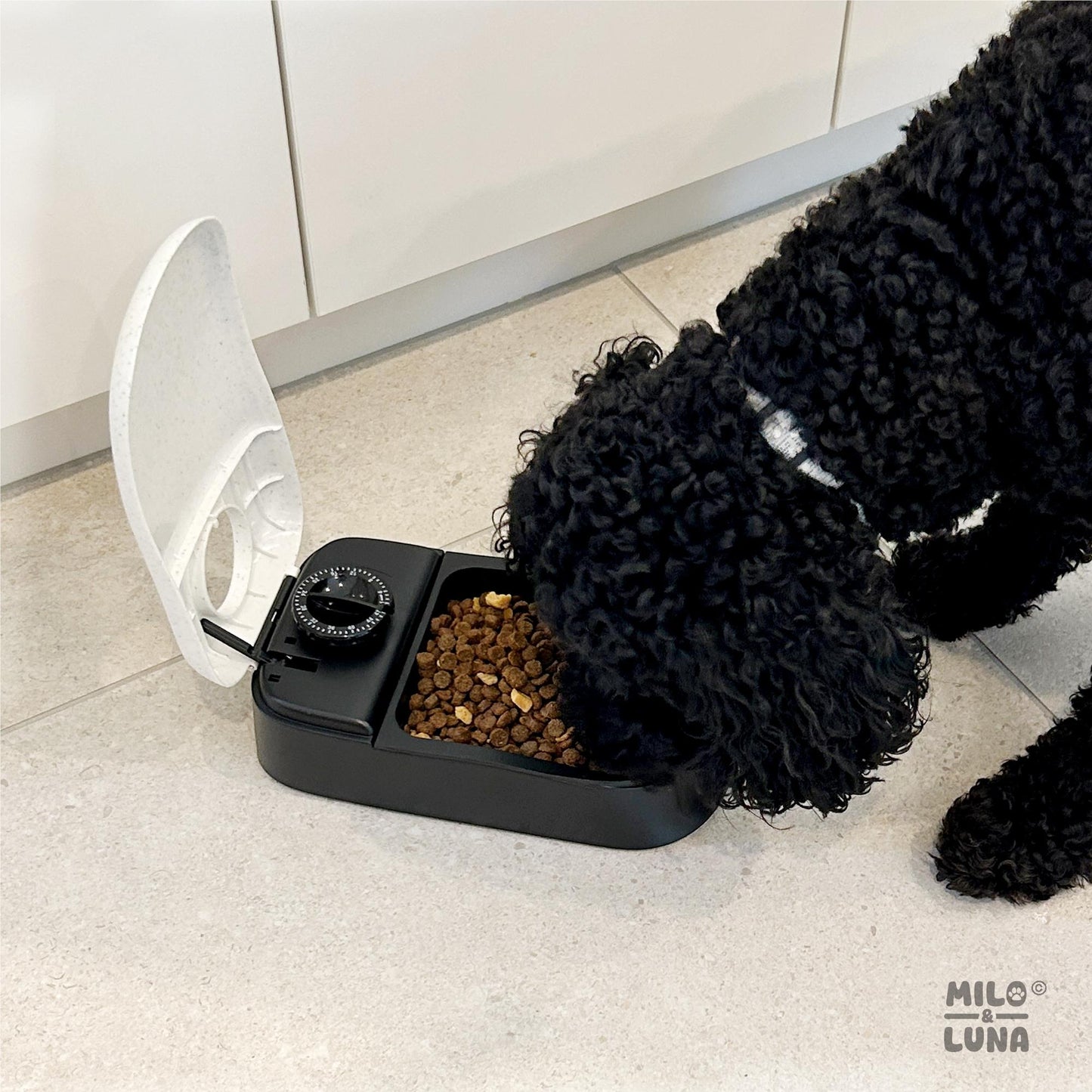 Milo & Luna Single Auto Pet Feeder