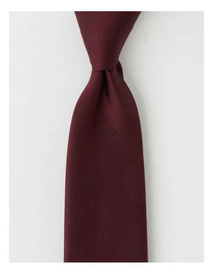 Plain Tie in Burgandy
