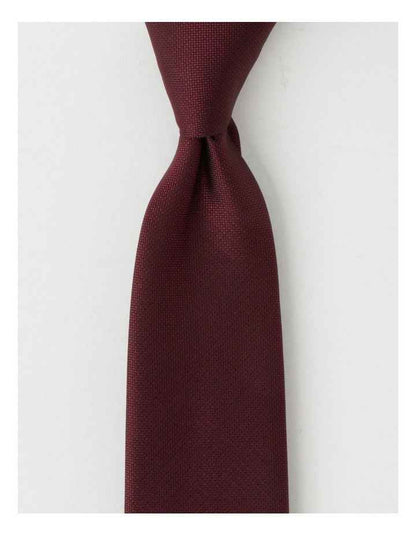 Plain Tie in Burgandy