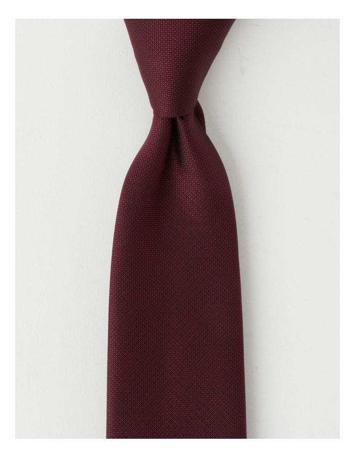 Plain Tie in Burgandy