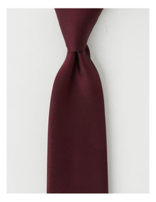 Plain Tie in Burgandy
