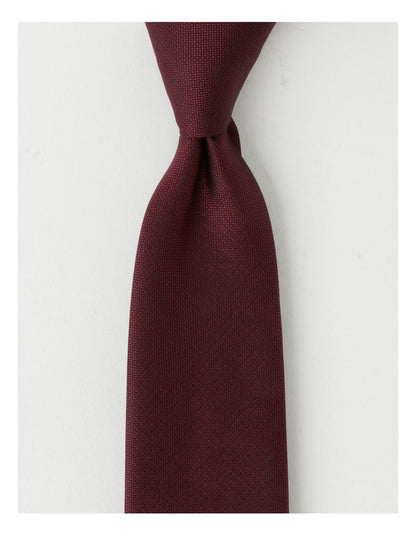Plain Tie in Burgandy