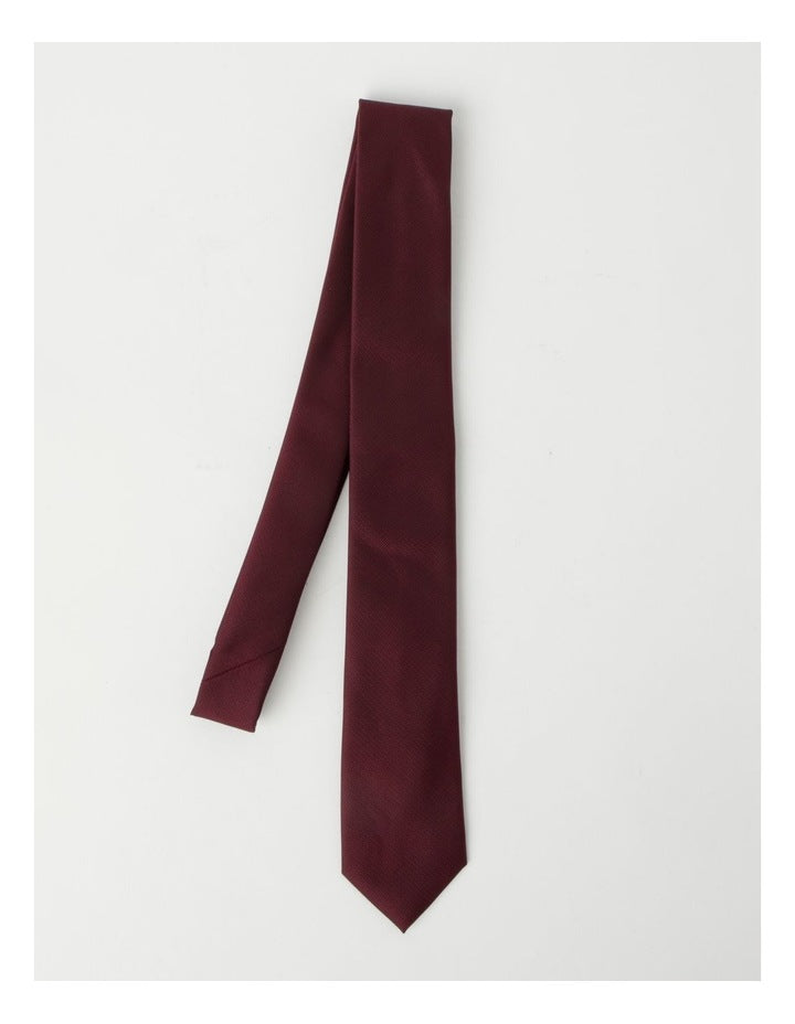 Plain Tie in Burgandy