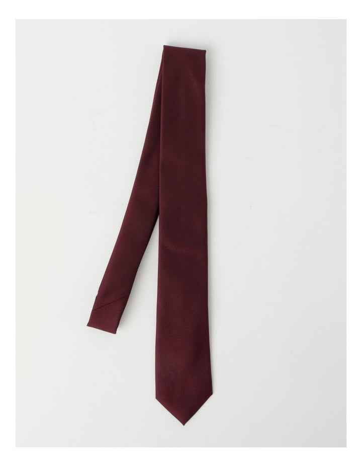 Plain Tie in Burgandy