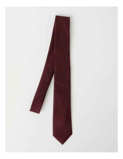 Plain Tie in Burgandy