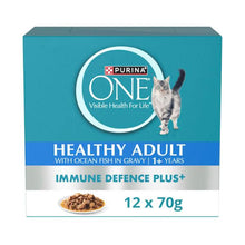 PURINA ONE HEALTHY ADULT WITH OCEAN FISH IN GRAVY CAT FOOD 12X70GRAM