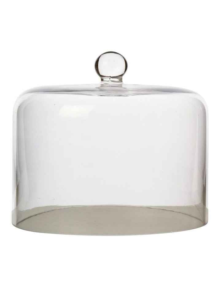 Diamante Straight Sided Cake Dome 19x15cm Gift Boxed in Clear