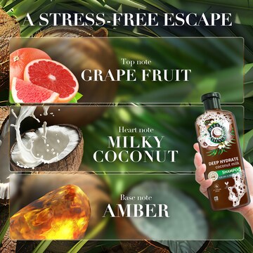 Herbal Essences bio:renew Coconut Milk Hydrating Conditioner 600mL