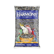 Sunflower Seed
