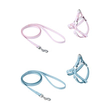 Puppy Harness & Lead - Assorted