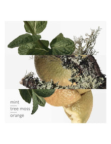 Eau d'Orange Verte Eau de Cologne 100ml