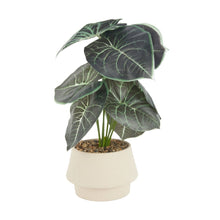 Artificial Alocasia in Pot