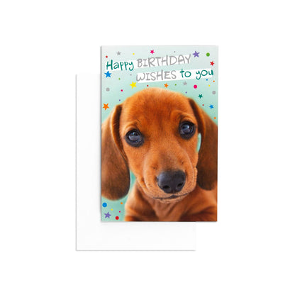 Hallmark Birthday Card by Creative Publishing - Dachshund Dog