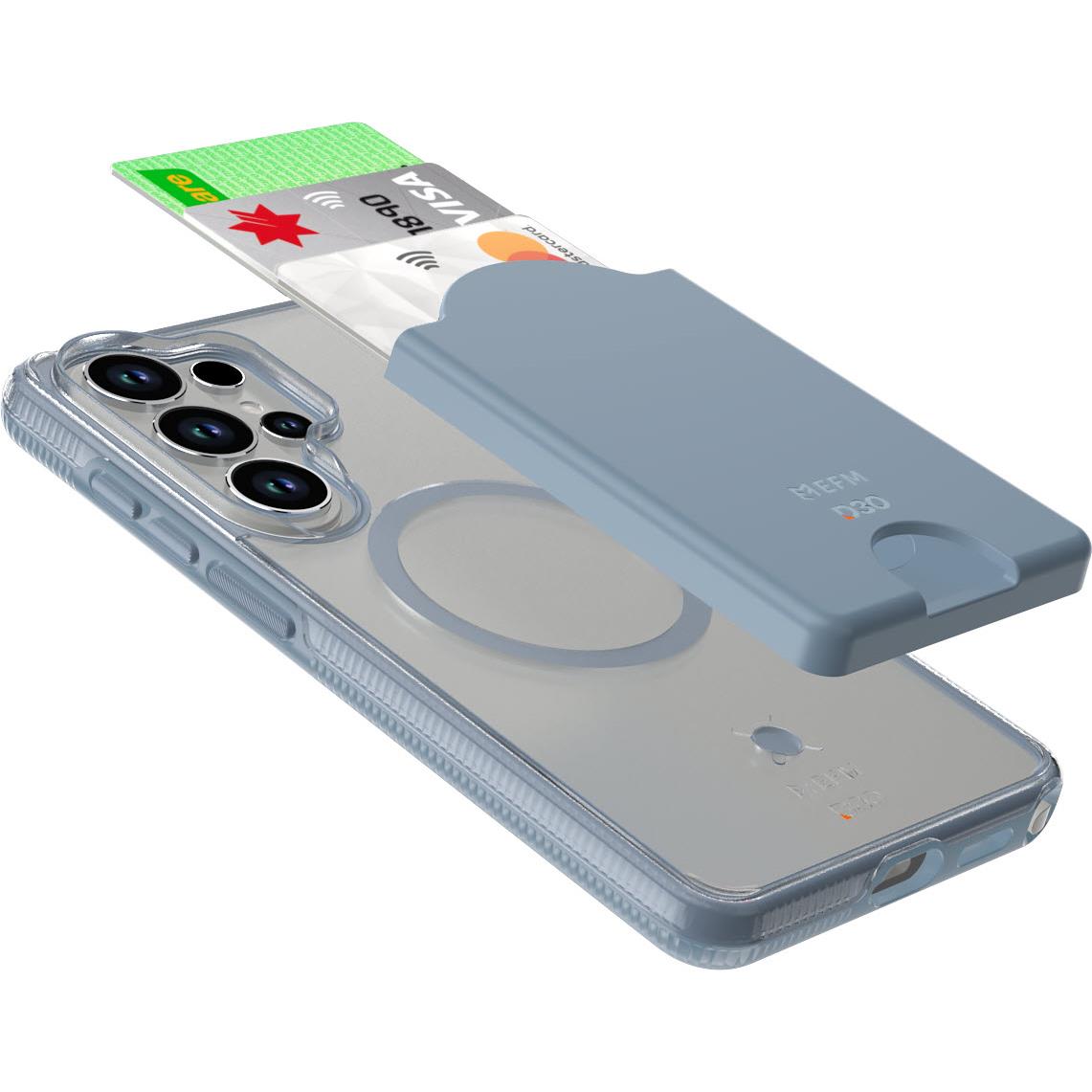 EFM Las Vegas Case