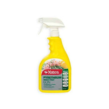 Pyrethrum Garden Insect Spray